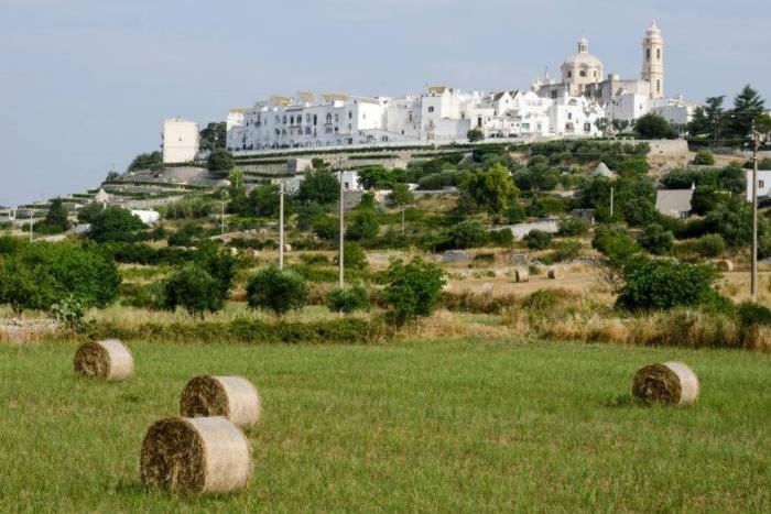 I Trulli Del Mulino Villa Locorotondo Dış mekan fotoğraf